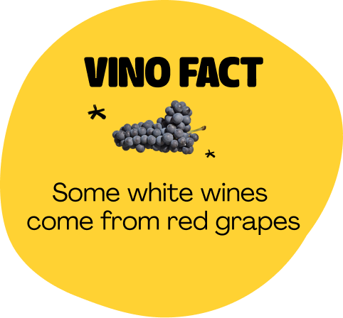 vino fact